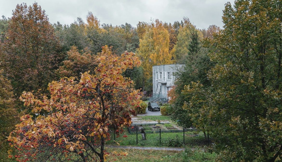 a house in the middle of a wooded area